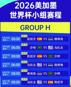 加拿大主场球迷